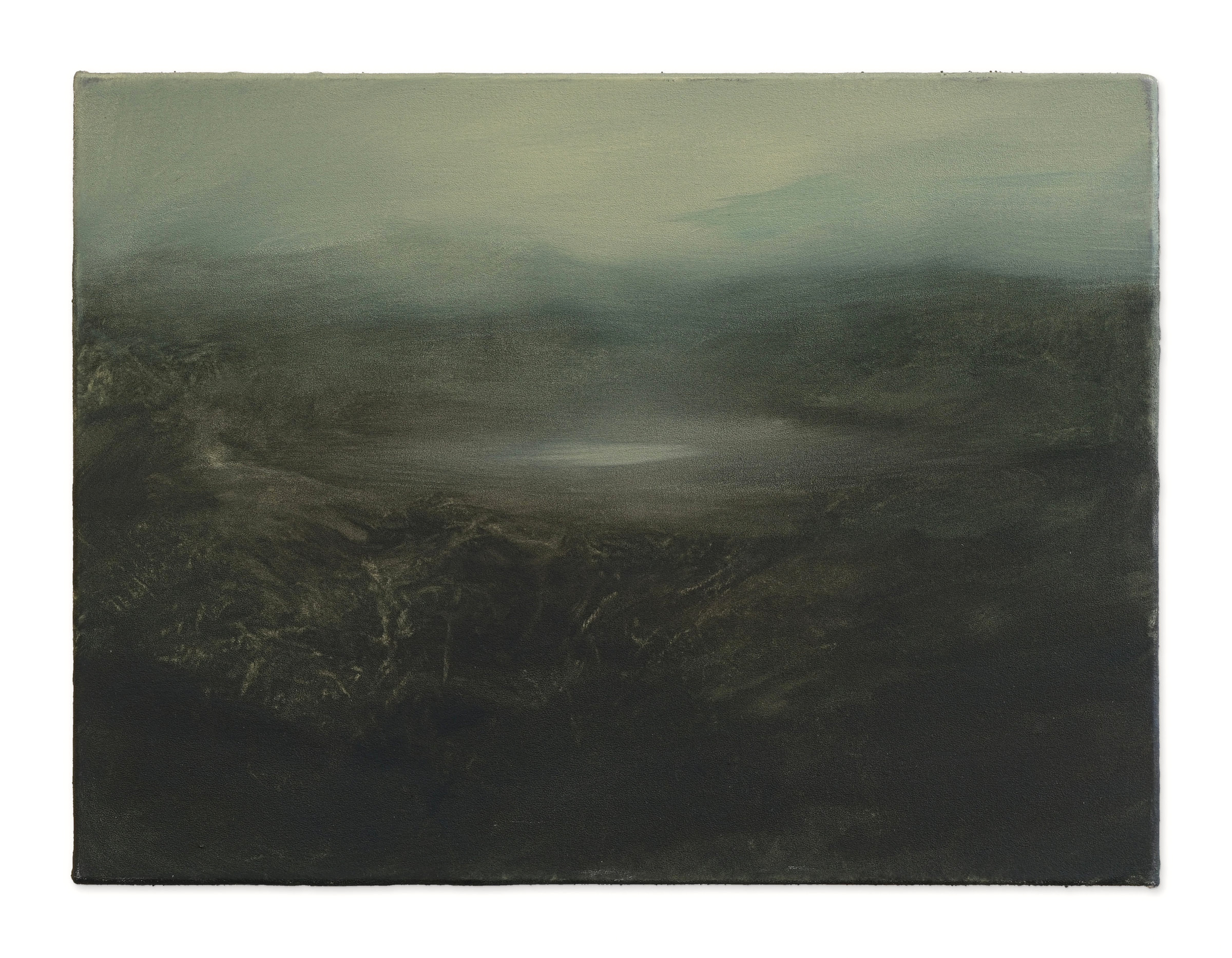A Place Beneath the Wind